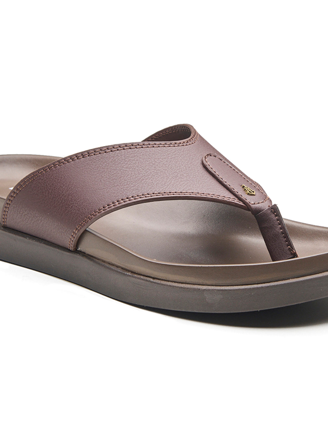 Lazio Slippers Brown