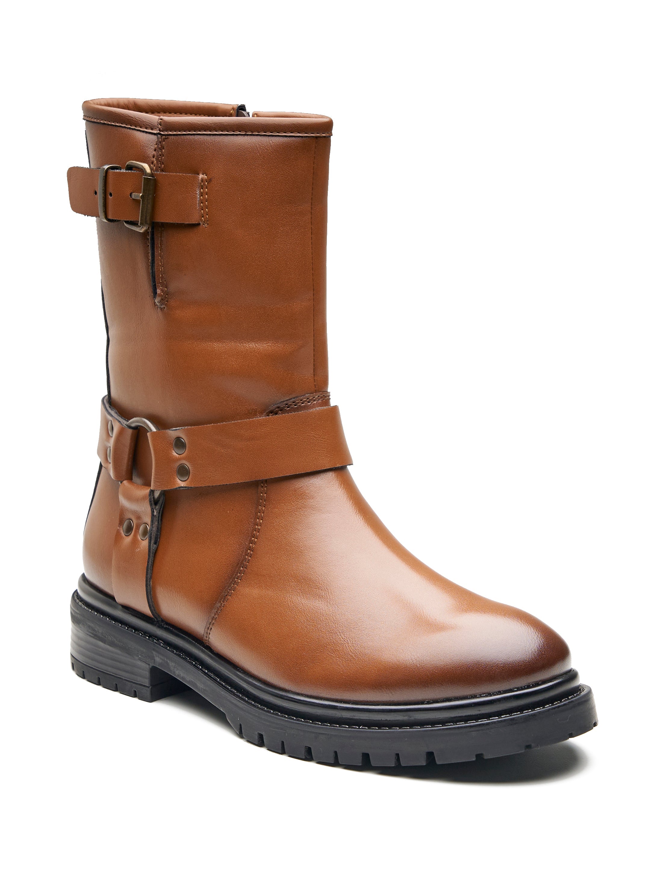 Carpi Ankle Boots Brown