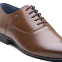 Atri Fashion Formals Brown