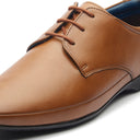 Aversa Fashion Formals Brown